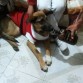 Es una ebria! Bueno, se la paso porque era Navidad :P - 6 meses.
